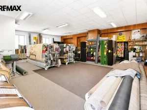 Prodej obchodního prostoru, Doudleby nad Orlicí, Dukelská, 330 m2