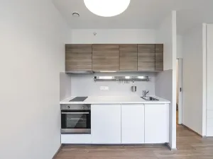 Pronájem bytu 1+kk, Praha - Vinohrady, Lucemburská, 30 m2