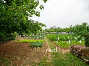 Prodej rodinného domu, Moravany, 226 m2