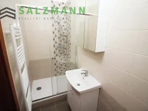 Pronájem bytu 2+1, Plzeň, Plachého, 71 m2