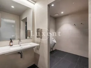 Pronájem bytu 2+kk, Praha - Smíchov, Holečkova, 72 m2