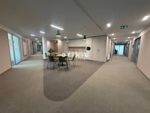 Pronájem kanceláře, Praha - Košíře, Vrchlického, 650 m2