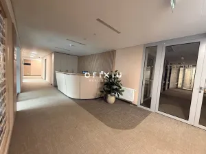 Pronájem kanceláře, Praha - Košíře, Vrchlického, 650 m2