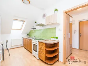 Prodej bytu 1+1, Třebechovice pod Orebem, Flesarova, 41 m2