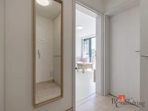 Pronájem bytu 1+kk, Brno - Jundrov, Veslařská, 27 m2