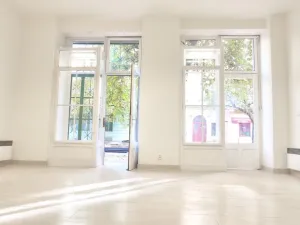 Prodej obchodního prostoru, Praha - Nusle, 34 m2