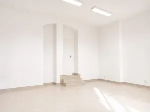 Prodej obchodního prostoru, Praha - Nusle, 34 m2