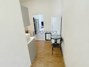 Pronájem bytu 1+1, Praha, Lublaňská, 42 m2