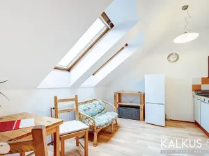 Pronájem bytu 2+kk, Hradec Králové, Zelená, 39 m2