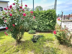 Pronájem rodinného domu, Beroun - Beroun-Město, Chmelenského, 33 m2