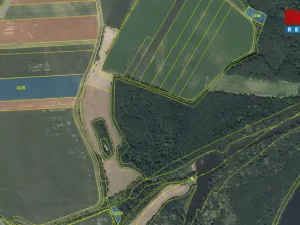 Prodej pole, Pňov-Předhradí - Pňov, 142115 m2