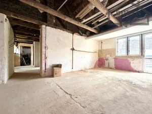 Prodej rodinného domu, Bor - Holostřevy, 380 m2