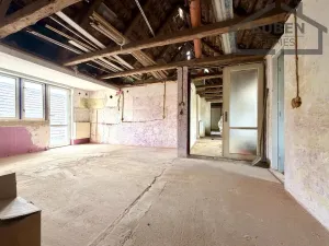 Prodej rodinného domu, Bor - Holostřevy, 380 m2