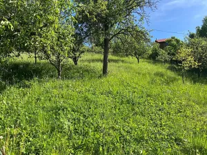 Prodej rodinného domu, Vítějeves, 329 m2