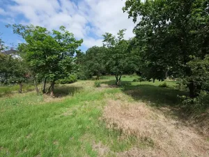 Prodej pozemku pro bydlení, Jíloviště, Na Hájensku, 800 m2