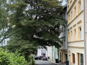 Pronájem bytu 2+kk, Karlovy Vary, Libušina, 66 m2
