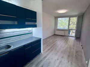 Prodej bytu 2+kk, Bílina, Tylova, 40 m2