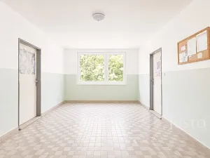 Prodej bytu 3+1, Písek - Budějovické Předměstí, třída Přátelství, 64 m2