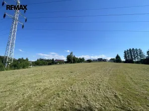 Prodej pozemku pro bydlení, Horní Domaslavice, 5500 m2
