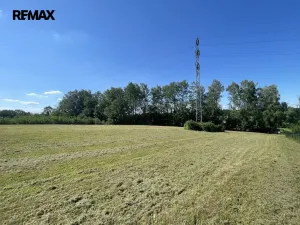 Prodej pozemku pro bydlení, Horní Domaslavice, 5500 m2