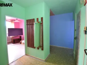 Prodej bytu 2+1, Domašov u Šternberka, 59 m2