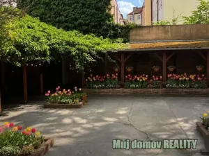 Pronájem ordinace, Praha - Žižkov, 100 m2