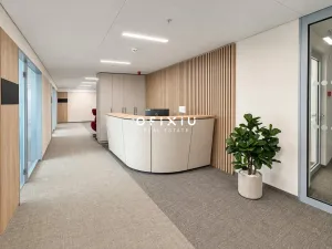 Pronájem kanceláře, Praha - Košíře, Vrchlického, 300 m2