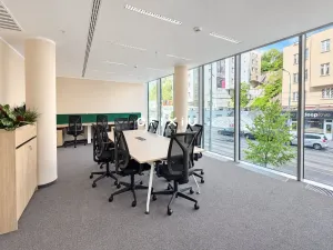 Pronájem kanceláře, Praha - Košíře, Vrchlického, 300 m2