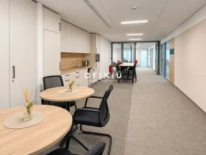 Pronájem kanceláře, Praha - Košíře, Vrchlického, 300 m2