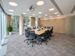 Pronájem kanceláře, Praha - Košíře, Vrchlického, 300 m2