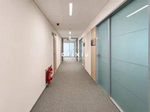 Pronájem kanceláře, Praha - Košíře, Vrchlického, 300 m2