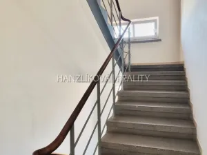 Pronájem bytu 1+kk, České Budějovice - České Budějovice 3, Lipenská, 27 m2