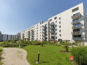 Pronájem bytu 1+kk, Brno - Ponava, Střední, 39 m2