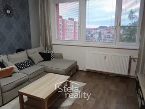 Pronájem bytu 1+1, Bruntál, Družební, 32 m2