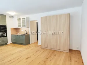 Pronájem bytu 1+kk, České Budějovice - České Budějovice 3, Fráni Šrámka, 41 m2
