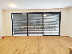 Pronájem bytu 1+kk, České Budějovice - České Budějovice 3, Fráni Šrámka, 41 m2