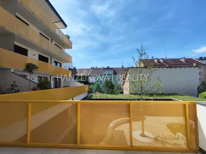 Pronájem bytu 1+kk, České Budějovice - České Budějovice 3, Fráni Šrámka, 41 m2
