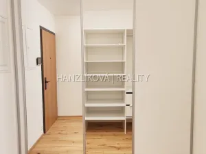 Pronájem bytu 1+kk, České Budějovice - České Budějovice 3, Fráni Šrámka, 41 m2