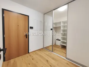 Pronájem bytu 1+kk, České Budějovice - České Budějovice 3, Fráni Šrámka, 41 m2