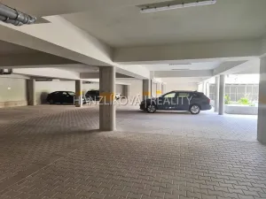 Pronájem bytu 1+kk, České Budějovice - České Budějovice 3, Fráni Šrámka, 41 m2