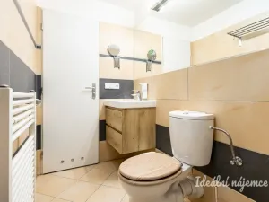 Pronájem bytu 2+kk, Praha - Vysočany, Skloněná, 58 m2