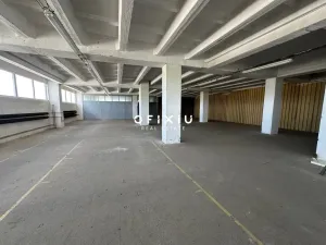 Pronájem skladu, Brno, Vídeňská, 1600 m2