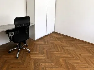 Pronájem bytu 2+1, Brno, Kobližná, 81 m2