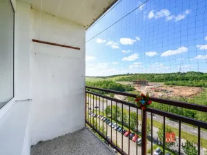 Prodej bytu 3+1, Plzeň, Hodonínská, 77 m2