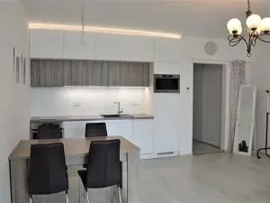 Pronájem bytu 1+kk, Olomouc, Loudova, 37 m2