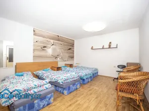Prodej komerční nemovitosti, Slatina nad Zdobnicí, 572 m2