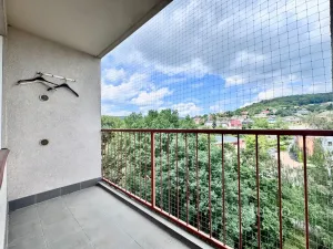 Prodej bytu 1+1, Ústí nad Labem - Severní Terasa, Meruňková, 35 m2