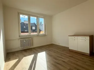 Pronájem bytu 1+kk, Cheb, Nová, 20 m2
