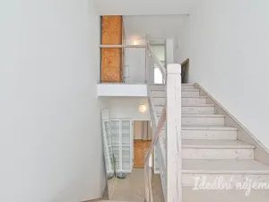 Pronájem bytu 5+kk, Brno - Žabovřesky, Šmejkalova, 190 m2