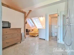 Pronájem bytu 5+kk, Brno - Žabovřesky, Šmejkalova, 190 m2